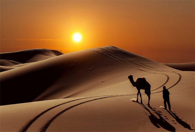 أجمل صور الصحراء مع غروب الشمس والجمل Desert With Sunset And Camel Images- عالم الصور
